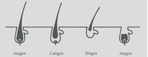 Screen Shot 2020-08-31 at 7.34.29 pm.png